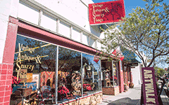 Click Here to go to the Vintage Antiques and Snazzy Things website.