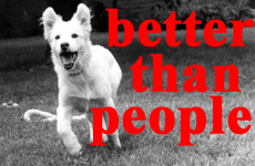 Click Here to go to the Better Than People website.
